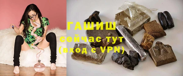 гидра Заводоуковск