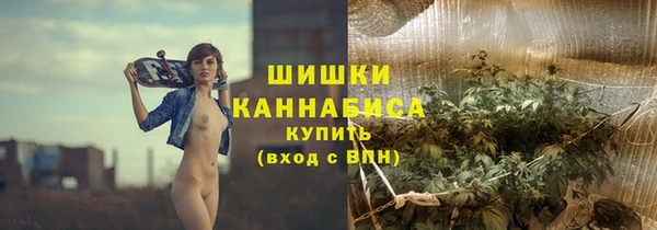 гидра Заводоуковск