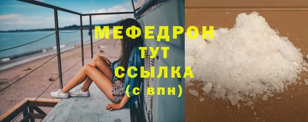 хмурый Дубна