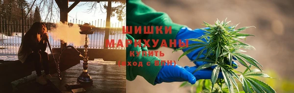 прущие грибы Заволжье