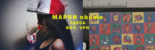 гидра Заводоуковск
