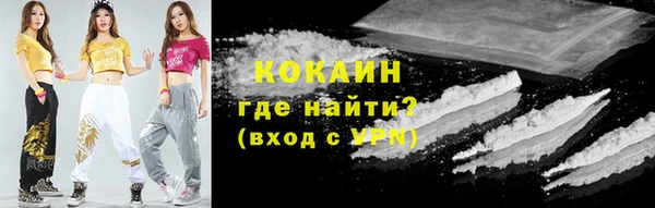 прущие грибы Заволжье