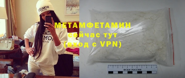прущие грибы Заволжье