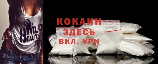гидра Заводоуковск