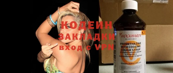 прущие грибы Заволжье