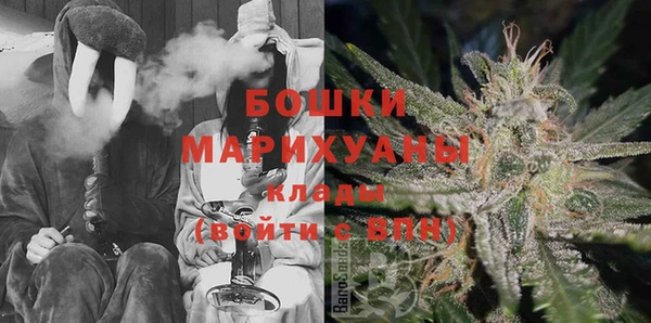 гидра Заводоуковск