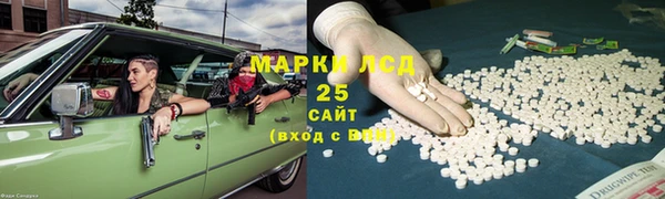 прущие грибы Заволжье