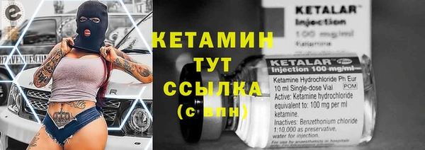гидра Заводоуковск