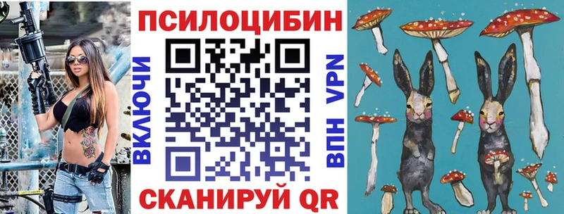Псилоцибиновые грибы Cubensis  Кореновск 